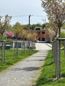 Brodek u Prostějova,Prodej rodinného domu 155 m², pozemek 31 - 14