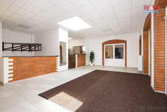 Pronájem komerčního objektu, 635 m², Vřesina - 14