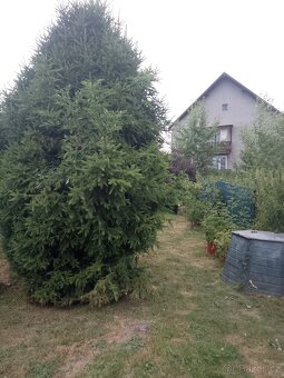 Prodej Bytu Slezské Pavlovice okres Bruntál - 14