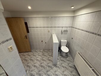 Pronájem atypického bytu 3+1, 95 m2, garáž, zahrada, Dubí - 14
