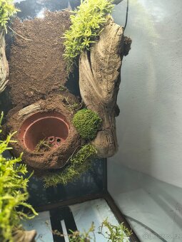 Terarium 60x45x45 - 14