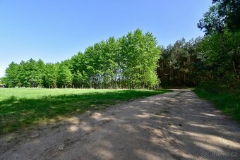 Pozemky v Morašicích, 27 km Pardubice, 20 km Kutná Hora - 14