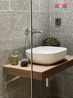 Prodej apartmánů, 200 m², Mikulovice - 14