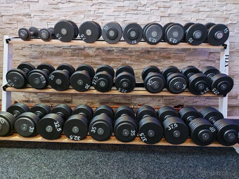 Profi pevné jednoruční činky 2,5-100kg NOVÉ - 14