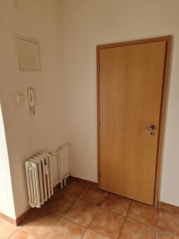 Prodej bytu, Brno - Zábrdovice 1+1 - 14