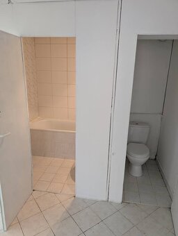 Dlouhodobý pronájem 4+1, Luční, Litvínov - 14
