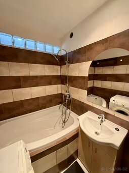 Pronájem bytu 2+1+L 55 m2 - 14