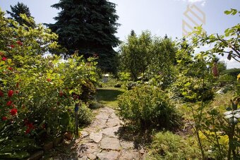 Prodej, zahrady, 454 m2, Kamený Pahorek, Košťany - 14