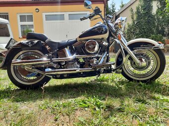 Harley Davidson - 14