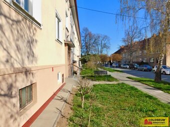 Hustopeče, byt OV 2+1, výhled do zeleně, krbová kamna, po re - 14