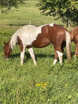 Valášci PH a QH - 14