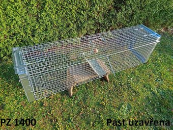 Past na lišky, kuny a toulavé kočky - 14