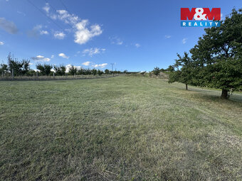 Prodej pozemku k bydlení, 7835 m², Borkovany - 14