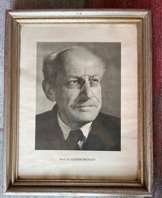 Prezidenti, státníci - obrazy - 14