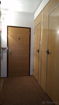 Pronájem bytu 2+1 47m² - 14