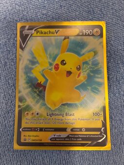 Pokémon karty - 14