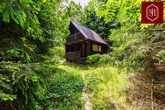 Prodej, dům, 276 m poz.,  122, Cetoraz, Česko - 14