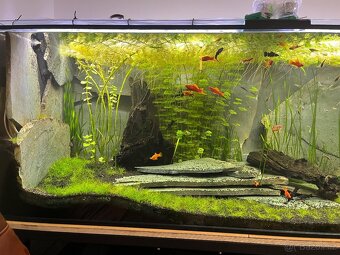 Akvárium cca 900litrů - 14