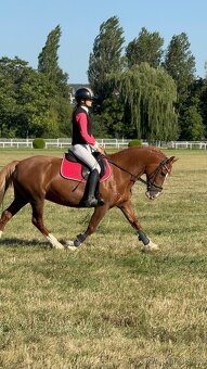 100% kobyla pro děti i dospělé - 14