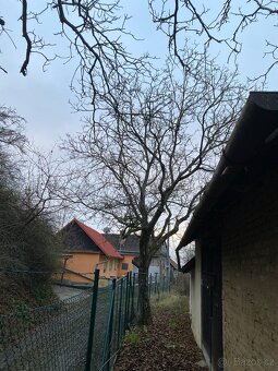 Realizace a údržba zahrad a veřejné zeleně - 14