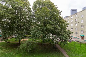 2+1  44 m2, Pod Rapidem, Praha 10 - Vinohrady - 14