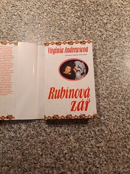 Virginia Cleo Andrews - série Landry II (všechny knihy) - 14