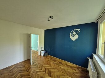 Nabízím malířské práce. Malování bytů. - 14