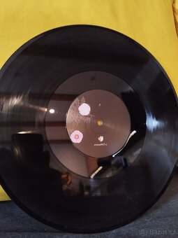 PRODÁM VÝBER LP DESEK - 14