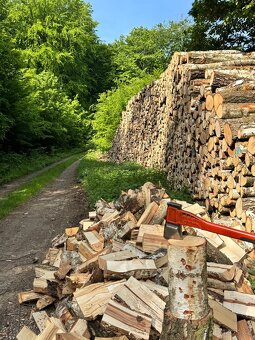 Palivového dřevo-Akce doprava 20.km zdarma - 14