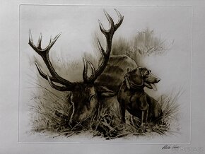 Ales Vaic - lesnicka tematiky - 14