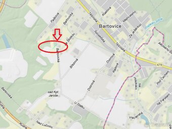 Prodej lesního pozemku v k.ú. Bartovice (2) - 14