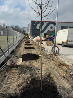 Údržba zeleně - 14