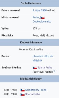 TOMÁŠ ROSICKÝ (BVB BORUSSIA DORTMUND) - prodám dres. - 14