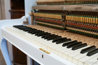 Petrof 117 Chippendale - 14