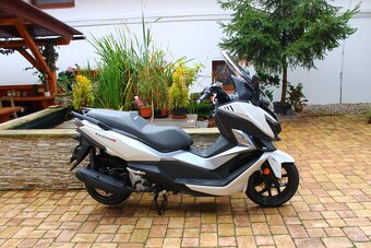 Sym Cruisym 125 i ABS - 14