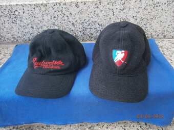 Půllitry Budvar Rony Plesl - 14