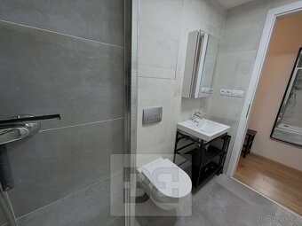 Pronájem bytu  1+kk, 40 m2 - Praha - Žižkov, ev.č. N08054 - 14