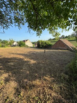 Prodám vinný sklep s pozemky 1500 m2 - 14