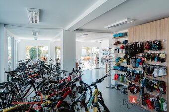 Prodej, domy/vila, 296 m2, Pod Kopečkem 367, 37901 Třeboň, J - 14