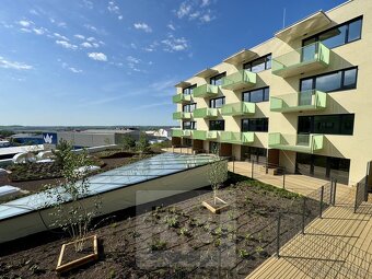 Pronájem byty 1+kk, 35 m2 - Znojmo, ev.č. N08017 - 14