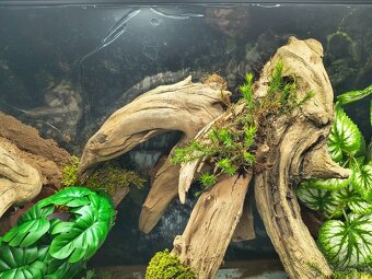 Terárium 60x45x45 - 14