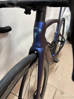 Pinarello Dogma F - 2025 - 14