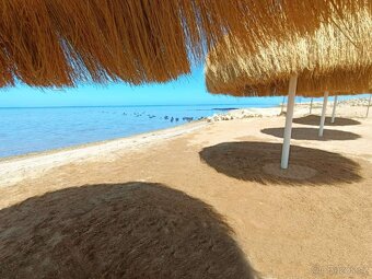 Prémier Beach Resort - 14