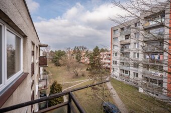 Prostorný Byt 3+1 81,4m2 OV Hodonín - 14