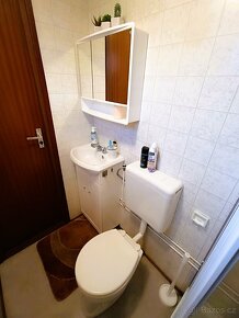 Mobilní chata (mobilheim, celoroční) SH98 - doprava zdarma - 14