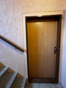 Pronájem bytu 1 + 1 - 14