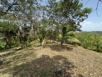 Lot 1 Bodden Bight Estate, Roatan - 14