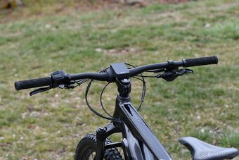 Elektrokolo Giant - 14