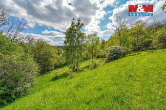 Prodej pozemku k bydlení, 10400 m², Sušice - 14