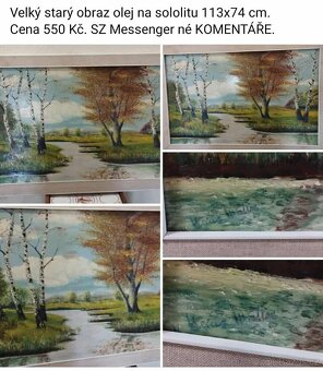 Obrazy. Ceny a rozměry viz fota. - 14